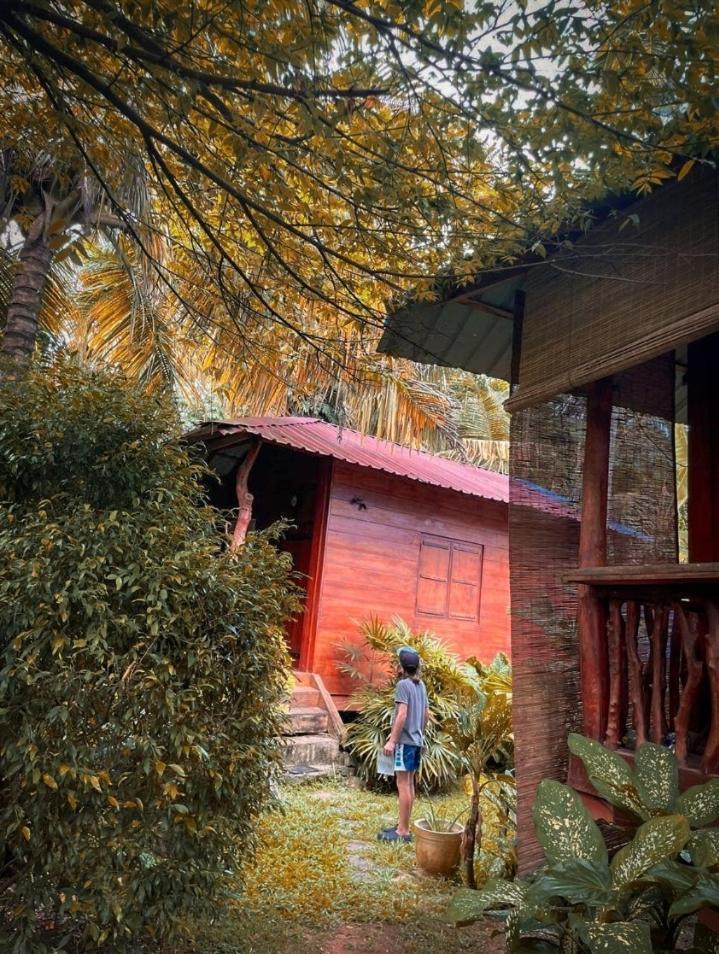 The Green Station Otel Dikwella Dış mekan fotoğraf